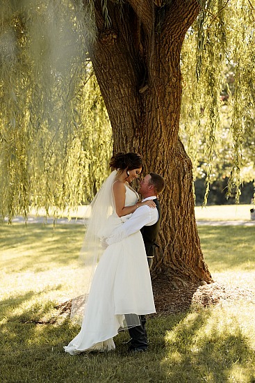 The Fergersons // Backyard Wedding