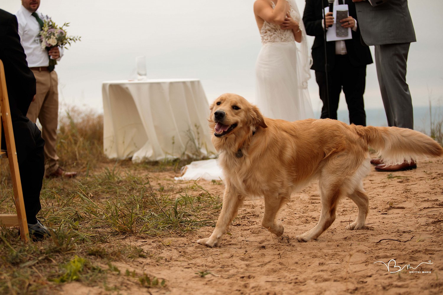 The Schweiger Wedding // Lake Bluff Preserve 