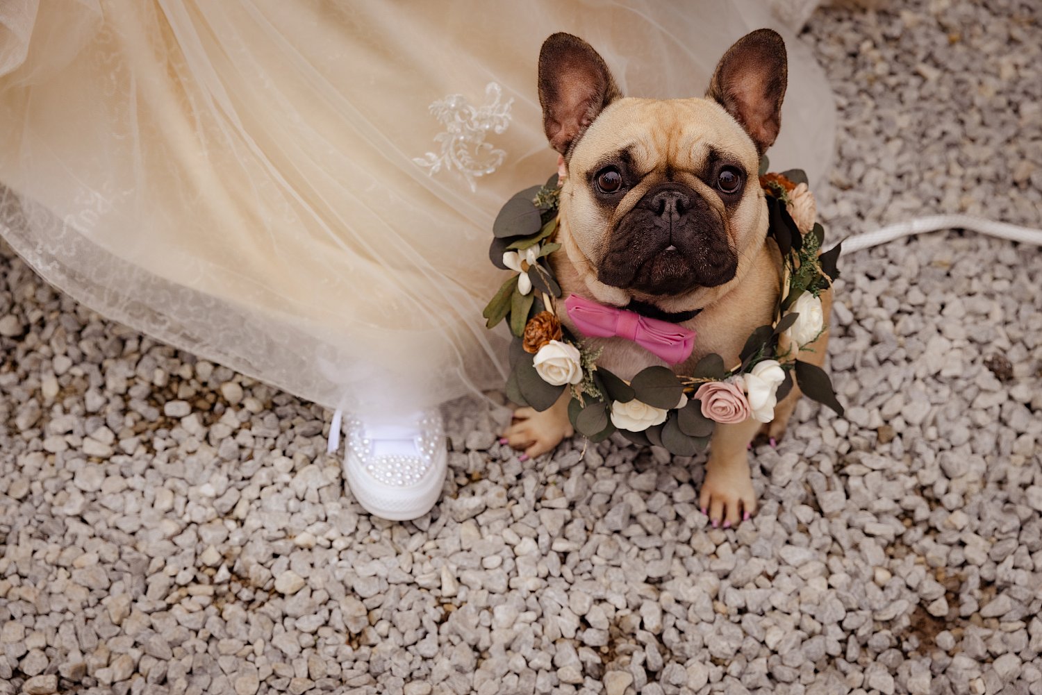 The Rotellinis // The Pine Tree Barn Wedding 