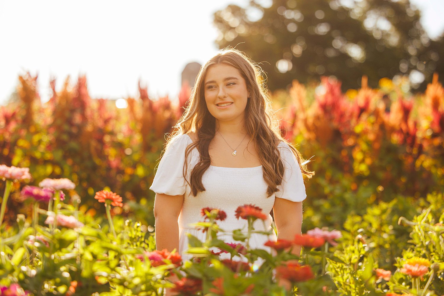 Senior_Molly-1.jpg